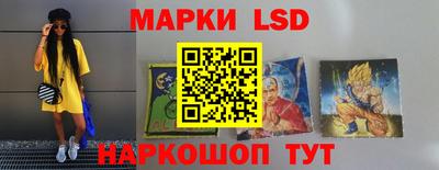 стаф Можга