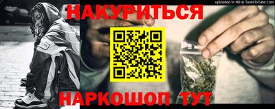 стаф Можга