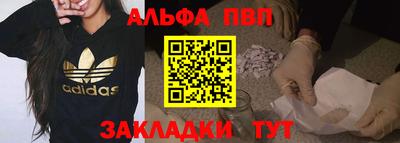 стаф Можга