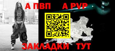 стаф Можга