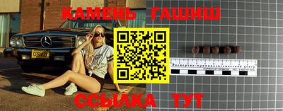 стаф Можга