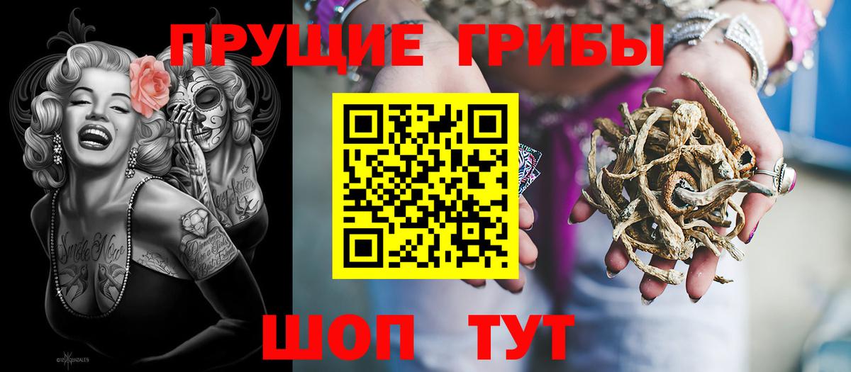 Псилоцибиновые грибы мицелий Солнечногорск